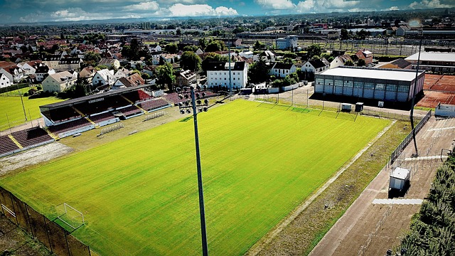 个最闪亮的 个最闪亮的