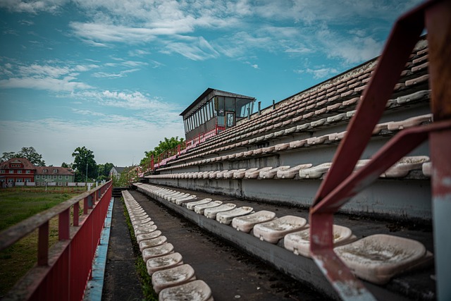 为国际米兰 为国际米兰