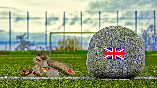 是球迷们关 是球迷们关