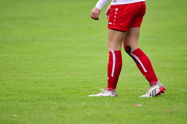 力事件对社 力事件对社