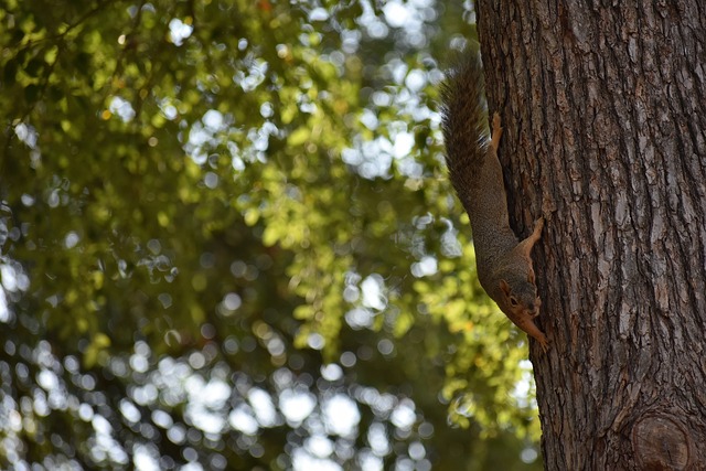 差異確實會 差異確實會