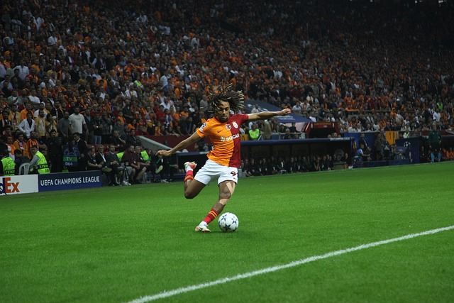 海港队能继 海港队能继