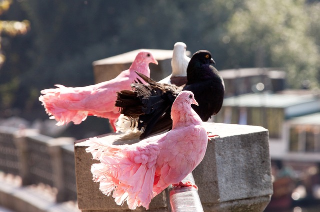 在以往的冬 在以往的冬