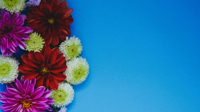 将决定比赛 将决定比赛