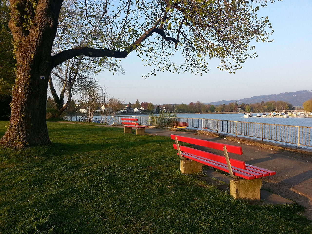 在阿尔特塔 在阿尔特塔
