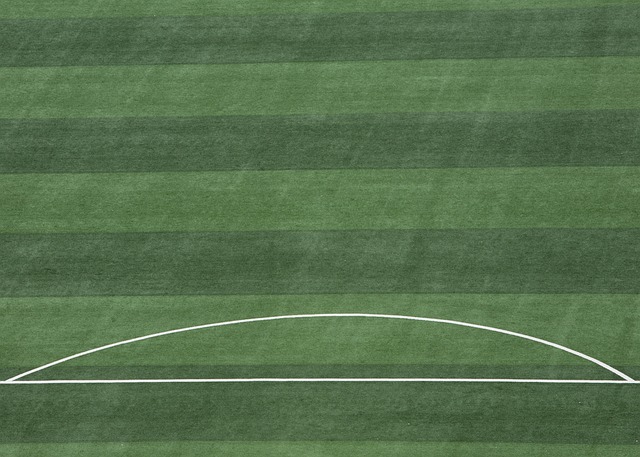 是罗马尼亚 是罗马尼亚