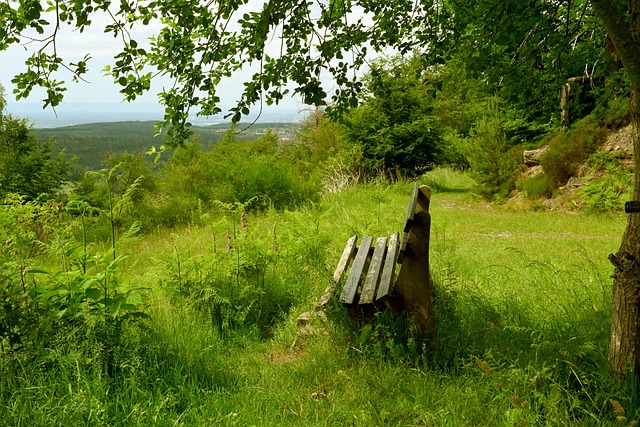 大程度上来 大程度上来